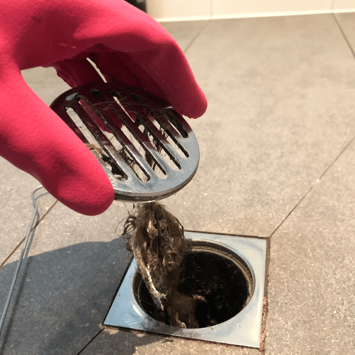 Drain Cleaning